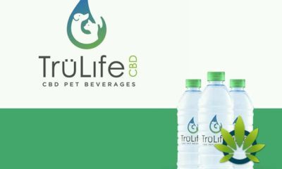TruLife CBD Pet Beverages: Healthy Cannabidiol Drinks for Dogs, Cats and Horses