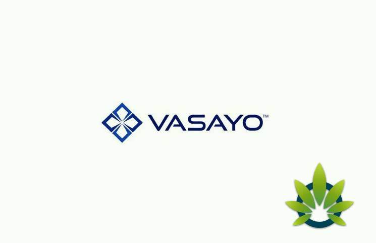 Vasayo CBD Oil Is Coming As A Safe New Cannabidiol Supplement From MLM Health Company