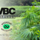Weekend Acquires Verve Beverage Company (VBC), Shares VBC's CHAMP CBD Drink US Expansion Plans