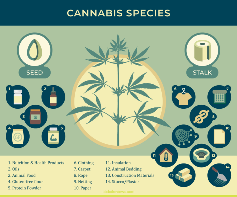 Hemp: Uses, Benefits, Nutrition, History and Marijuana Differences ...