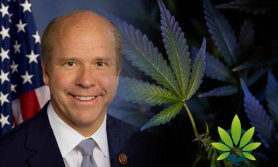 Here's How 2020 Presidential Candidate John Delaney’s Stance on Cannabis and Hemp Looks