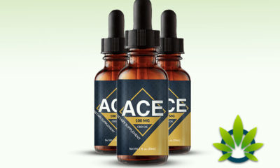 Ace CBD Oil