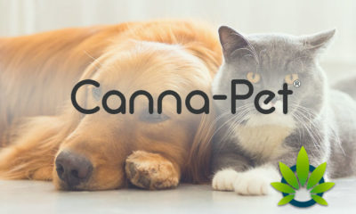 Canna-Pet: Nutritional Hemp Pets Biscuits, Treats and Capsules for Dogs and Cats