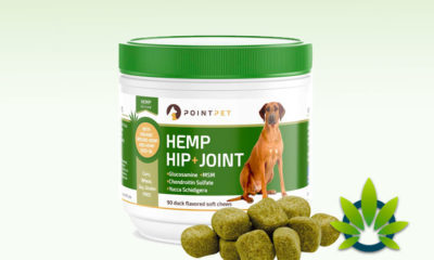 PointPet Hip + Joint Hemp Chews For Dogs
