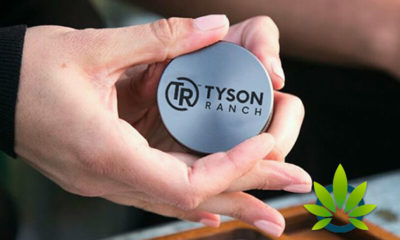 Mike Tyson's Ranch Cannabis Brand Fights Back Against Fake Affiliations