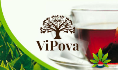 ViPova