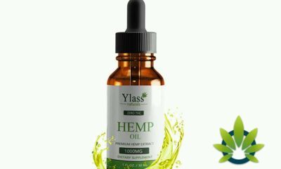 Ylass Naturals Hemp Oil