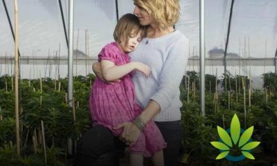Autistic Children May Benefit From Use Of Cannabis, According To Study In Israel