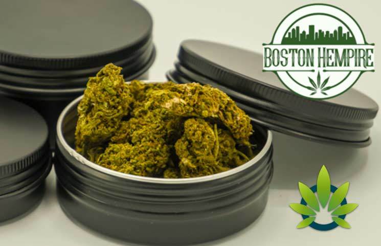 Boston Hempire