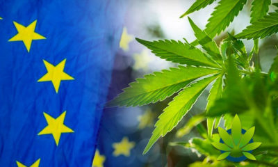 European Food Safety Authority Halts Hemp CBD Category Products With 'Novel Foods' Status