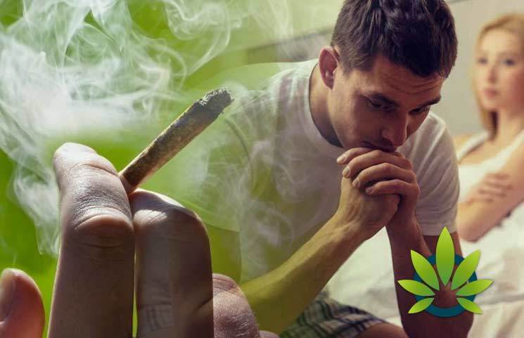 Harvard Cannabis Study Shows Marijuana Affects Sperm Count, Touches On THC For Testosterone