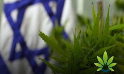 New Israeli CBD Study Reveals Cannabidiol May Be An Effective Autism Treatment