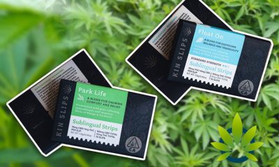 Kin Slips Cannabis-Infused Sublingual Strips Deliver Cannabinoids and Terpenes Under the Tongue