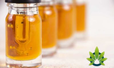 Consumer Lab Says Mislabeled CBD Products Are In The Majority For Cannabidiol Industry