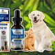 Pet Pawsitive Hemp Oil for Pets Promises to Offer Pure Organic Dogs and Cats CBD Products