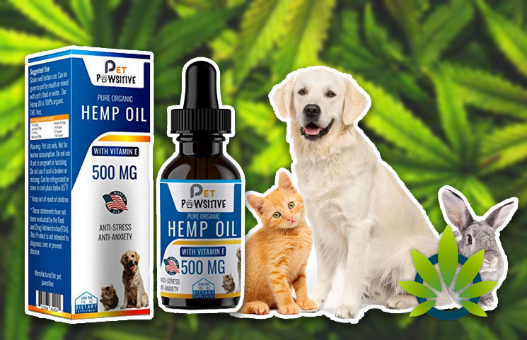Pet Pawsitive Hemp Oil for Pets Promises to Offer Pure Organic Dogs and Cats CBD Products