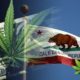 New 'Temporary Cannabis Tax Reduction Bill' Looks To Lower Taxes On California CBD Sales