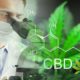 New 2019 CBD Research: This Year's Cannabidiol Developments, Research, and Publications