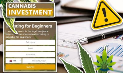 User Beware of Marijuana Investment Software 'Cannabis Craze' and Its 'Profitable' Program