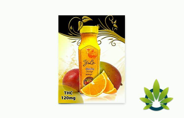YiLo CBD