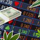 3 Hot Marijuana Stocks to Buy for 2019 – A Guide for Investors