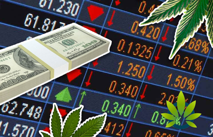 3 Hot Marijuana Stocks to Buy for 2019 – A Guide for Investors