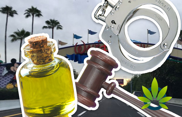 69-Year Old Grandmother Arrested for Hemp-Derived CBD Oil Possession Set to Sue Disney World