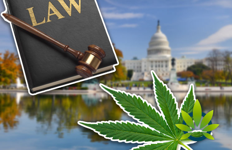 A Look at 11 New Cannabis Laws in Washington from the Latest Senate and House Bills