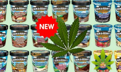Ben & Jerry's to Release CBD-Infused Ice Cream as Cannabidiol Makes Major Mainstream Mention