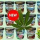 Ben & Jerry's to Release CBD-Infused Ice Cream as Cannabidiol Makes Major Mainstream Mention