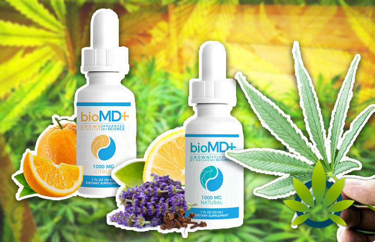BioMD+ Launches Premium CBD Oil Product Line Enhanced with Natural Plant Terpenes