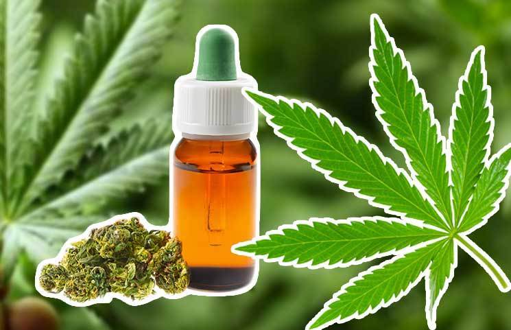 CBD Oil vs CBD Tinctures: Know The Difference Between Cannabidiol Drops