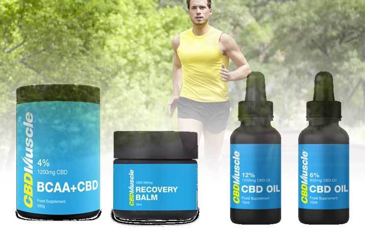 CBDMuscle-Oil-and-Balm-Products-Utilize-Cannabidiol-and-BCAA-Ingredients-for-Muscle-Recovery