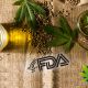 Call for FDA to Ease Cannabis Rules