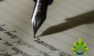 Can Medical Cannabis Benefit Brain Power for Producing Better Writing Skills?