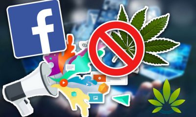 Cannabis Businesses Suing Facebook for Social Media Network's Anti-Marijuana Advertising Policies