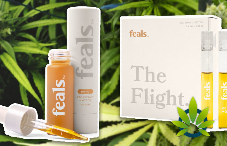 Feals CBD Subscription Service Enables Monthly Cannabidiol Extract with MCT Oil Delivery Option