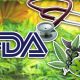 Medical Cannabis Industry Experts' Expectations for the FDA’s May 31 CBD Hearing