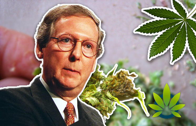 Mitch McConnell Praises Hemp as Promising Alternative to Tobacco While Proposing 18 to 21 Age Limit Increase to Buy