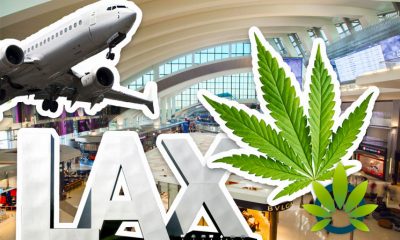 More-People-Busted-by-LAX-for-Weed