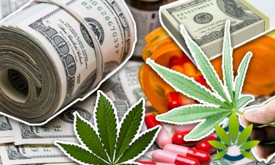 New Frontier Data: Pharmaceutical Industry, aka Big Pharma, Could Lose Nearly $20 Million to Cannabis