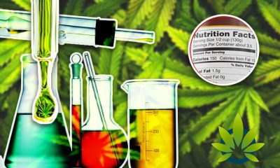 New Mexico News Team Investigates Shady, Misleading, Unregulated CBD Product Labeling
