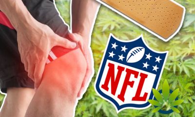 New NFL and NFLPA Joint Committee Plans to Research Cannabis Benefits for Pain Relief of Atheletes