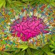 Potential Psychoactive Effects of CBD