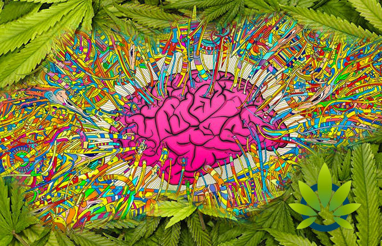 Potential Psychoactive Effects of CBD