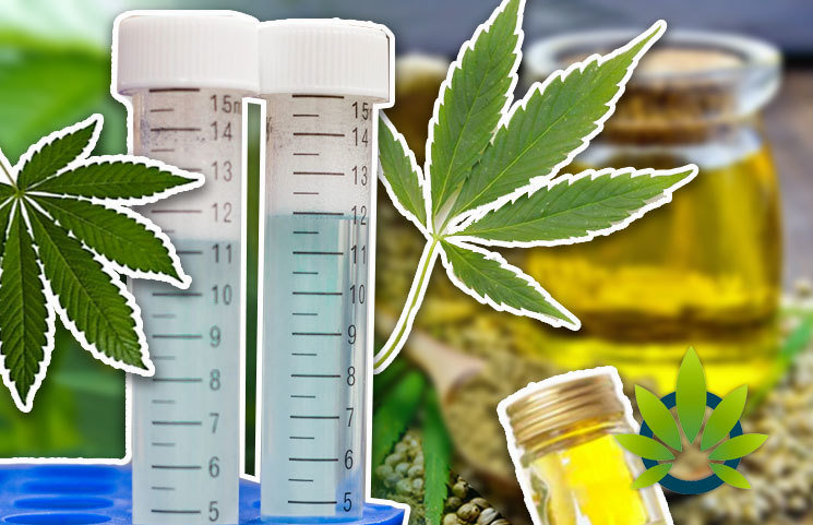 Professional Pot Pundits in Agreement on CBD Products Not Affecting Drug Test Results for THC