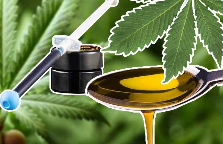 CBD Oil vs RSO: Know The Differences Between Rick Simpson Oil and Cannabidiol