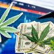 Top Cannabis Stocks to Consider Purchasing for Portfolio Diversify as CBD Sales Soar in 2019