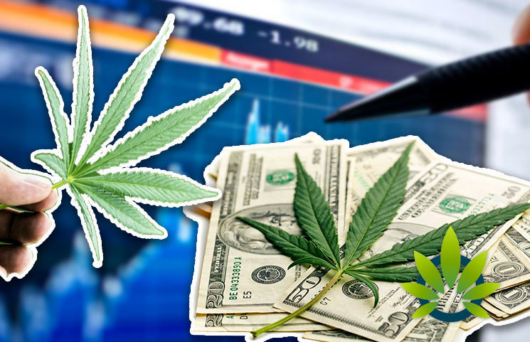 Top Cannabis Stocks to Consider Purchasing for Portfolio Diversify as CBD Sales Soar in 2019