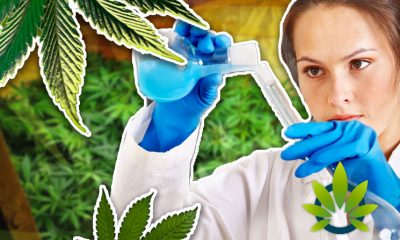 Top Hard to Ignore Health Claims About Medical Marijuana Rooted in Scientific Evidence